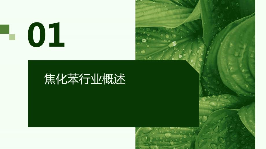 2023年焦化苯行业经营分析报告_第3页