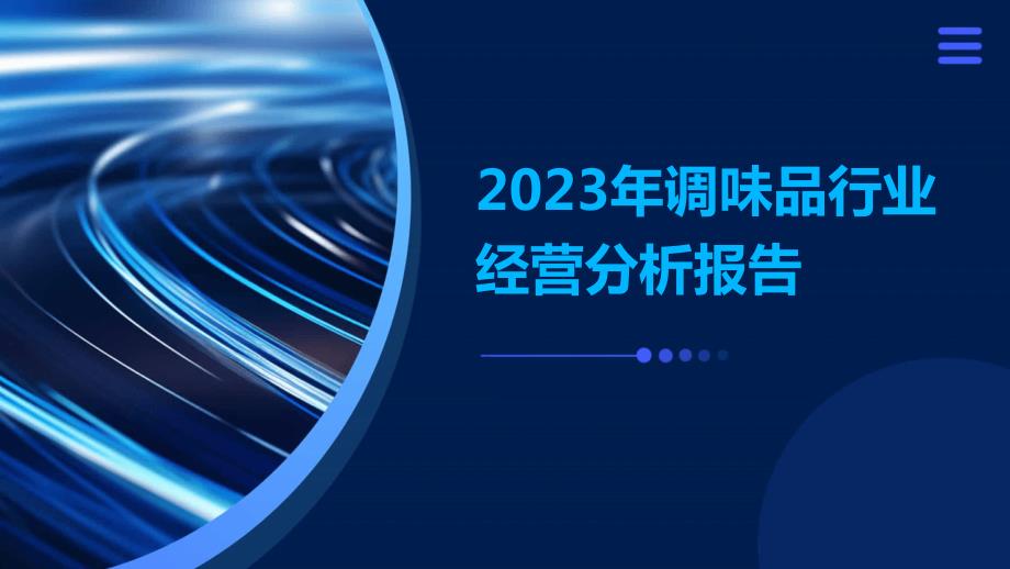 2023年调味品行业经营分析报告_第1页