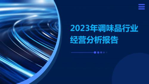 2023年调味品行业经营分析报告