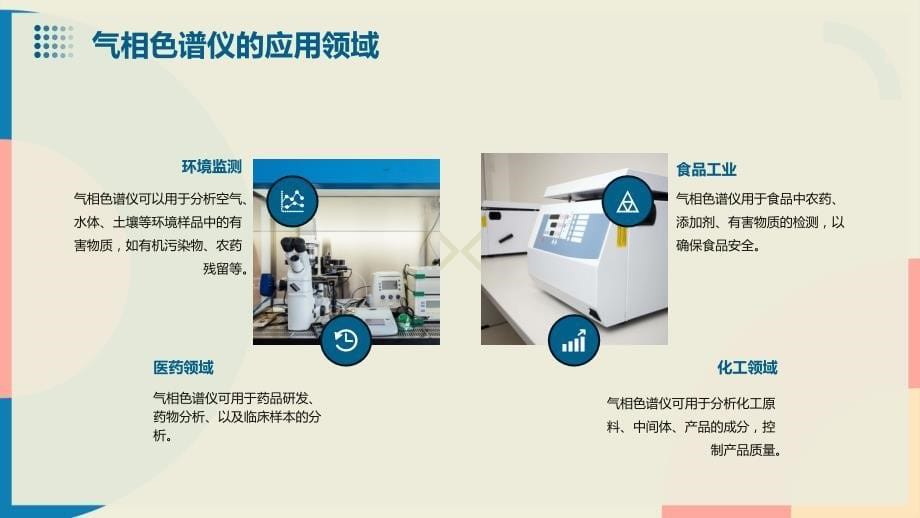 2024年气相色谱仪行业商业发展计划书_第5页