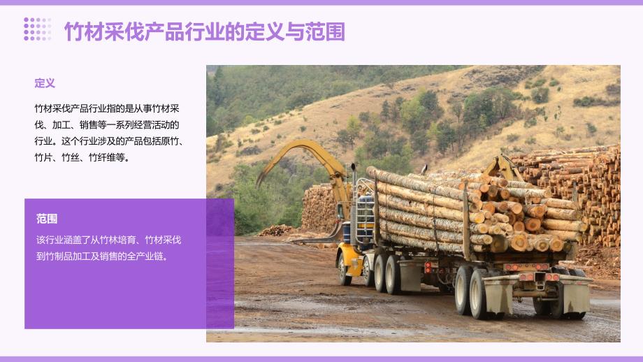 2023年竹材采伐产品行业经营分析报告_第4页