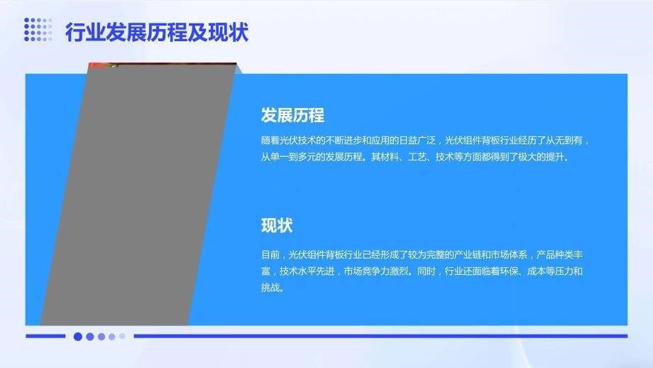 2023年光伏组件背板行业经营分析报告_第5页