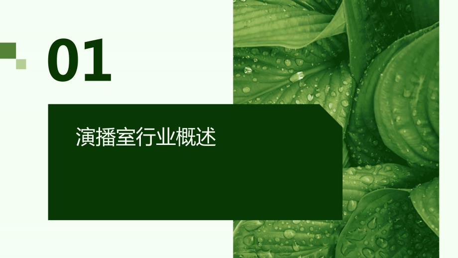 2023年演播室行业经营分析报告_第3页