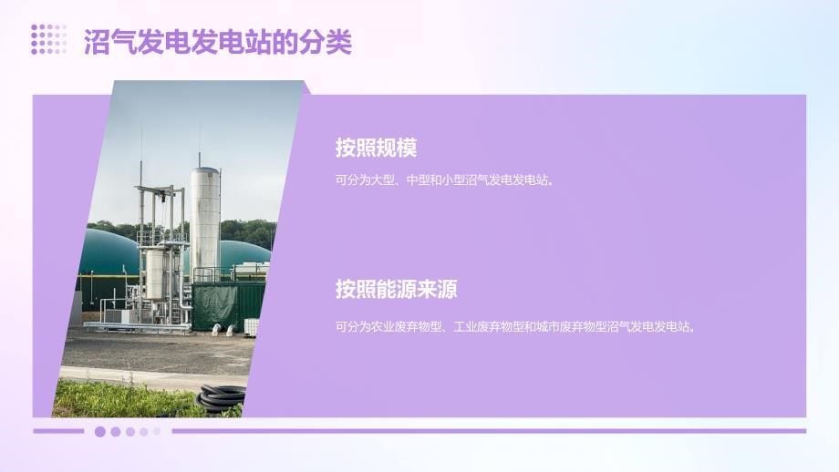 沼气发电发电站建设与运营_第5页