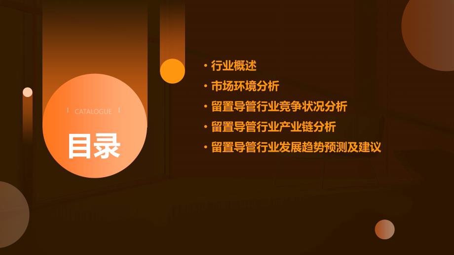 2023年留置导管行业经营分析报告_第2页