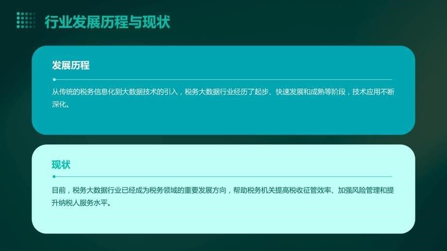 2023年税务大数据行业经营分析报告_第5页