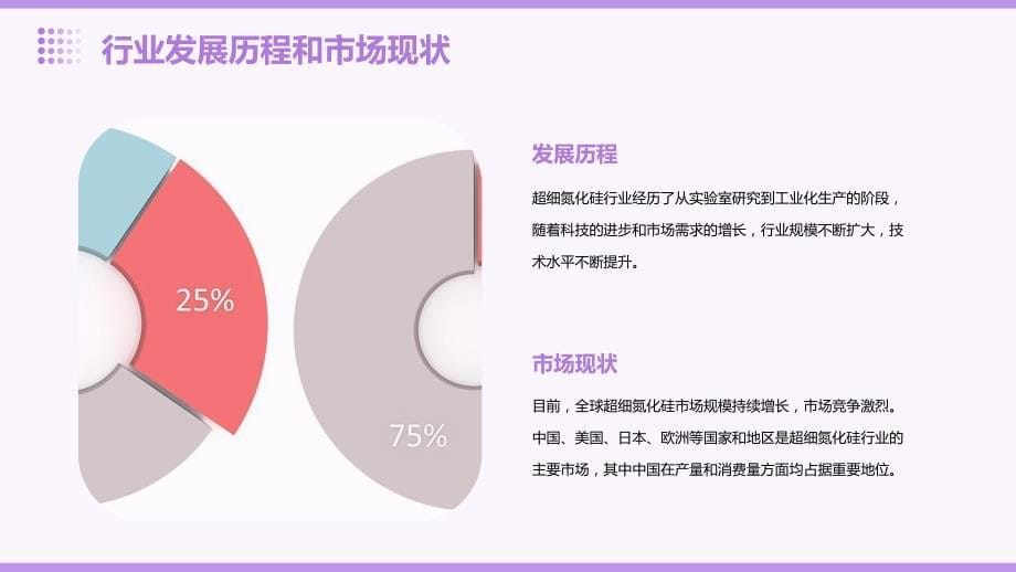 2023年超细氮化硅行业经营分析报告_第5页