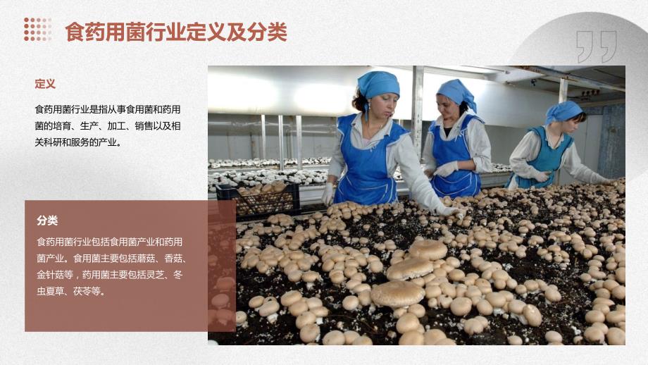 2023年食药用菌行业经营分析报告_第4页