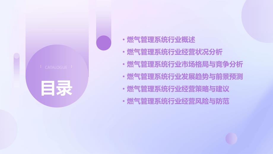 2023年燃气管理系统行业经营分析报告_第2页