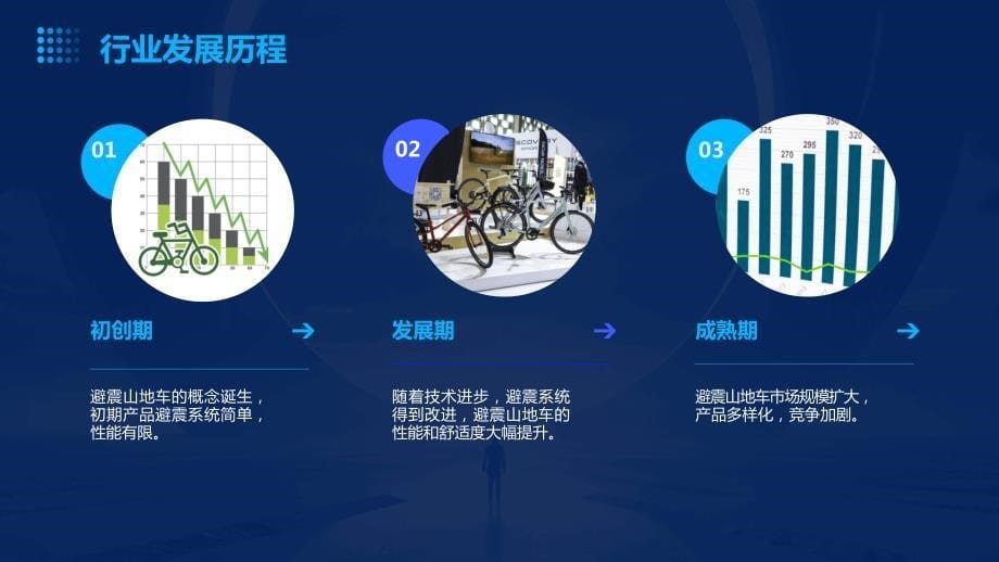 2023年避震山地车行业经营分析报告_第5页