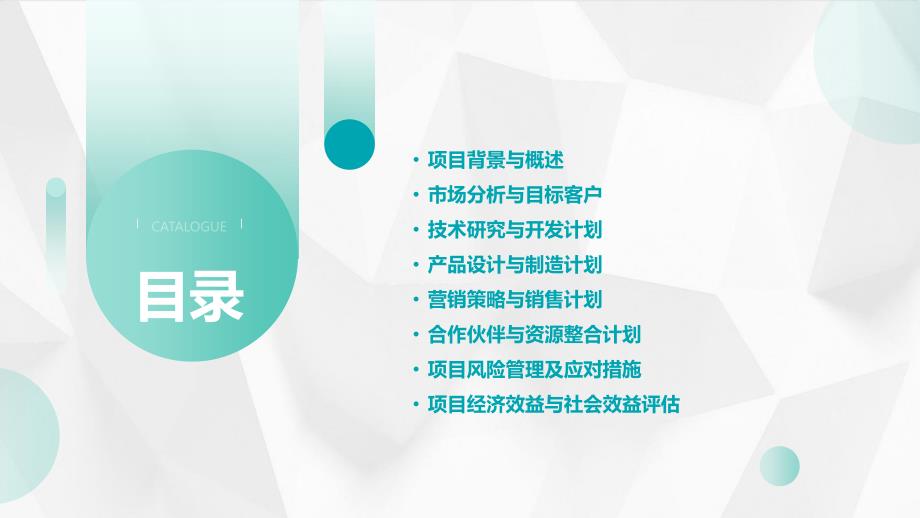 地热能储存与储能技术研发营销计划书_第2页