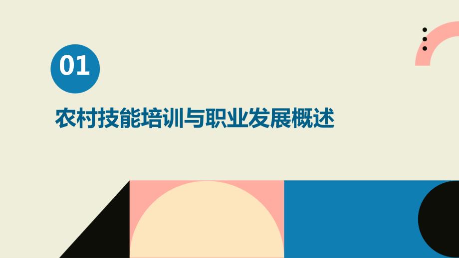 农村技能培训与职业发展经营性人才的个人成长与社会贡献_第3页