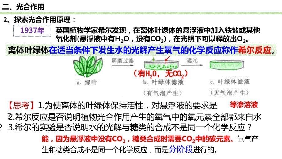 【课件】光合作用与能量转化（第二课时）_第5页