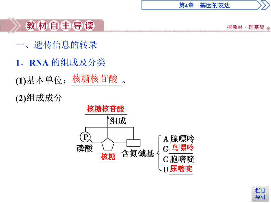 生物高中必修二《第1节 基因指导蛋白质的合成》ppt课件4-统编人教版_第4页