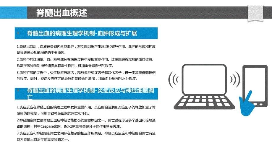 脊髓出血的病理生理学机制_第5页