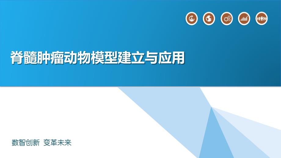 脊髓肿瘤动物模型建立与应用_第1页