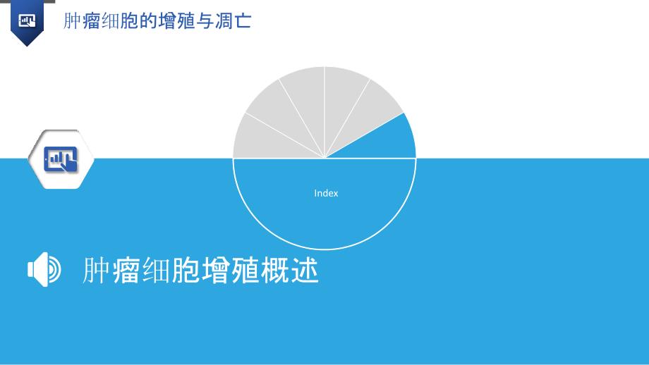 肿瘤细胞的增殖与凋亡_第3页