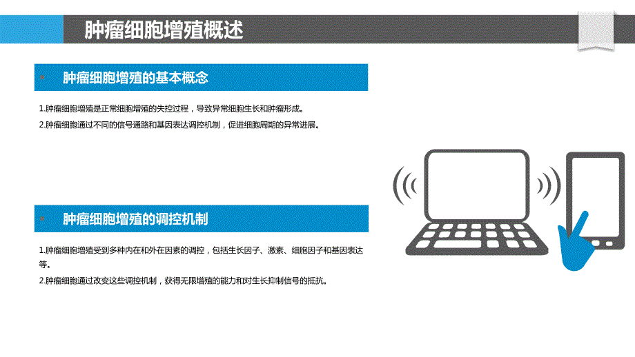 肿瘤细胞的增殖与凋亡_第4页