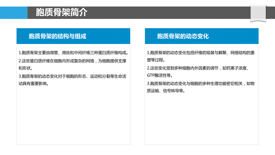 胞质骨架动态变化与调控_第4页