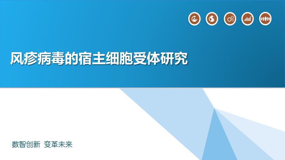 风疹病毒的宿主细胞受体研究_第1页