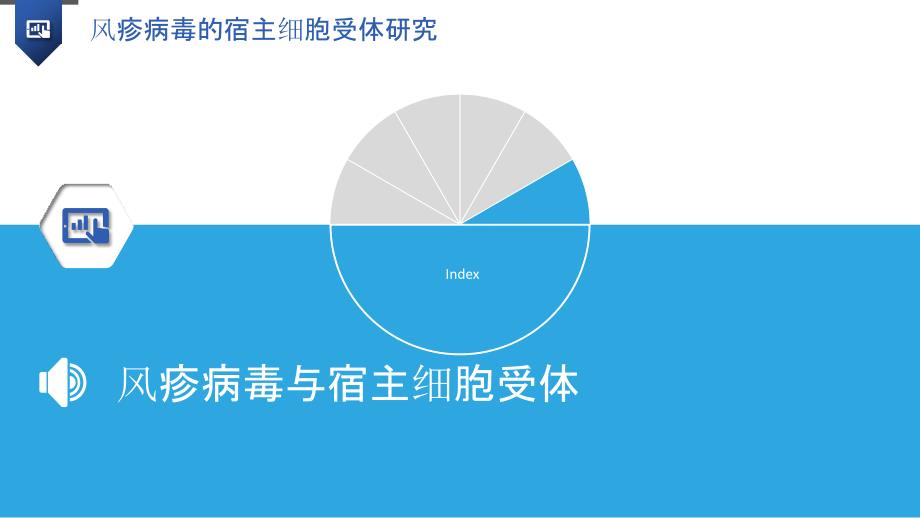 风疹病毒的宿主细胞受体研究_第3页