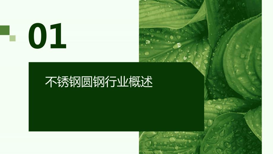 2024年不锈钢不锈钢圆钢行业可行性研究报告_第3页