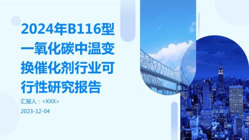 2024年B116型一氧化碳中温变换催化剂行业可行性研究报告