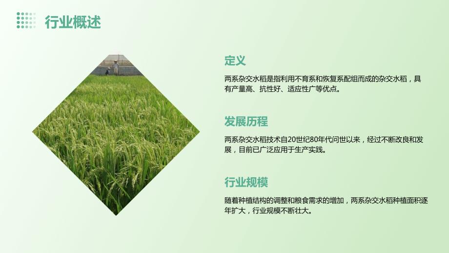 2024年两系杂交水稻新组合行业可行性研究报告_第4页