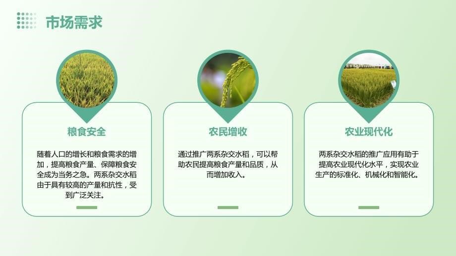 2024年两系杂交水稻新组合行业可行性研究报告_第5页