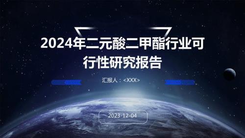 2024年二元酸二甲酯行业可行性研究报告