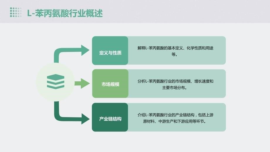 2024年L-苯丙氨酸行业可行性研究报告_第5页