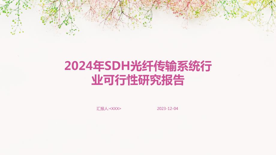 2024年SDH光纤传输系统行业可行性研究报告_第1页