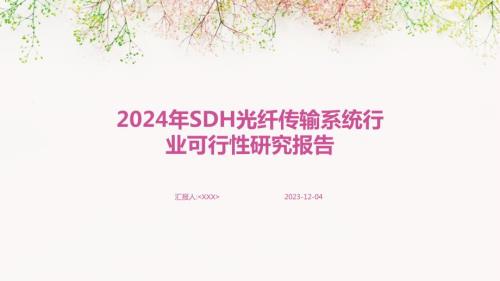 2024年SDH光纤传输系统行业可行性研究报告