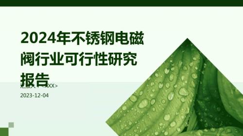 2024年不锈钢电磁阀行业可行性研究报告