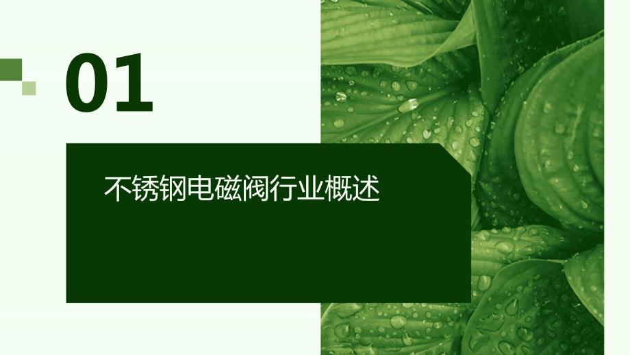 2024年不锈钢电磁阀行业可行性研究报告_第3页