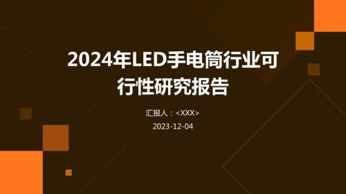 2024年LED手电筒行业可行性研究报告