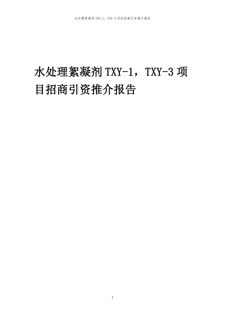 水处理絮凝剂TXY-1TXY-3项目招商引资推介报告_第1页