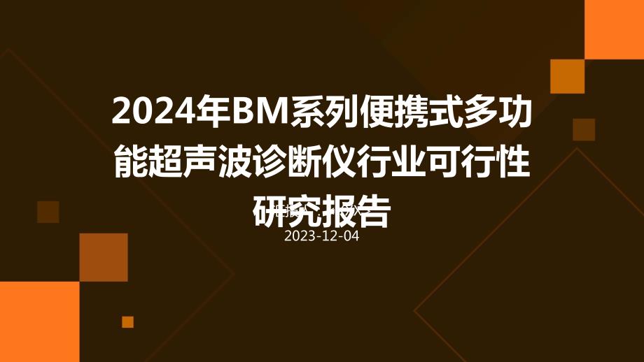 2024年BM系列便携式多功能超声波诊断仪行业可行性研究报告_第1页