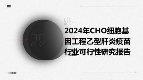 2024年CHO细胞基因工程乙型肝炎疫苗行业可行性研究报告