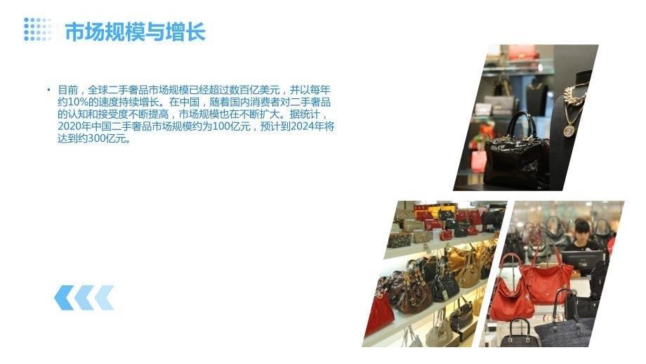 2024年二手奢品行业可行性研究报告_第5页