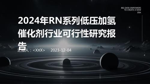 2024年RN系列低压加氢催化剂行业可行性研究报告