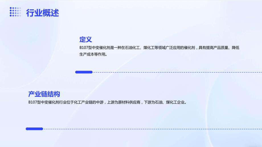 2024年B107型中变催化剂行业可行性研究报告_第4页