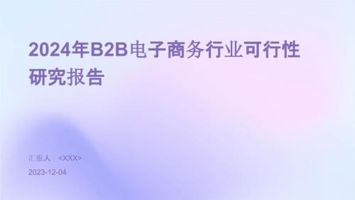 2024年B2B电子商务行业可行性研究报告