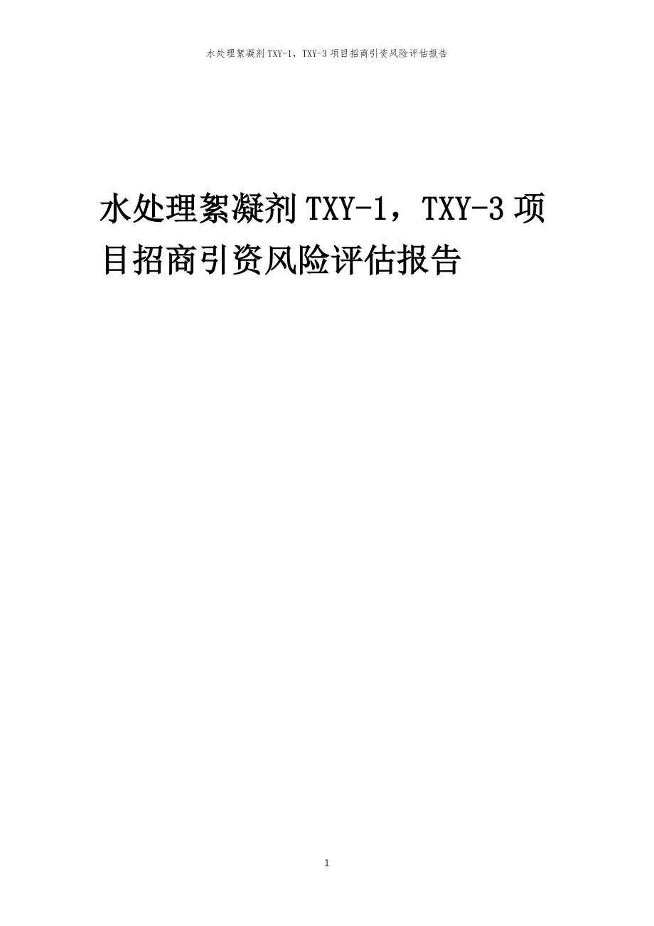 水处理絮凝剂TXY-1TXY-3项目招商引资风险评估报告_第1页