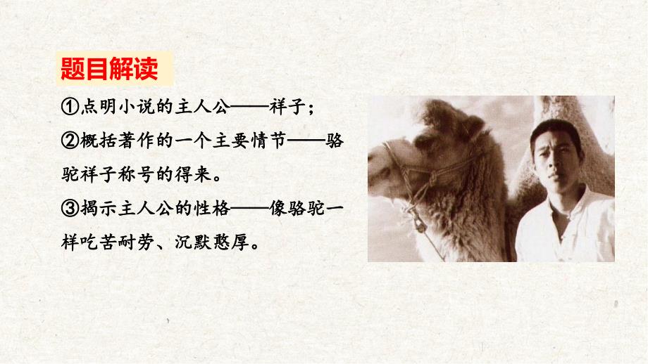 名著导读《骆驼祥子》七年级语文下册（部编版）_第2页