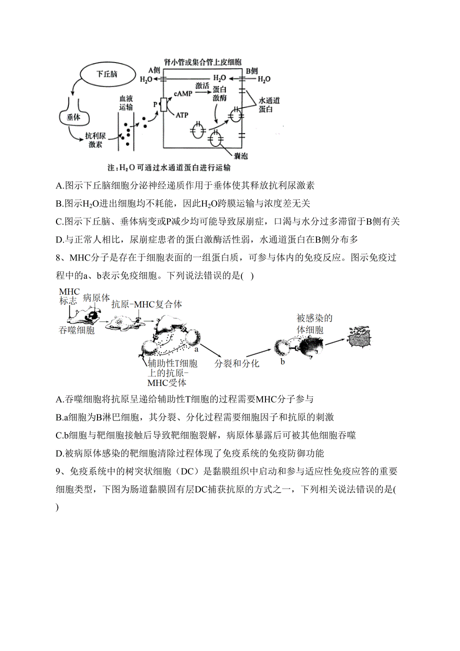 江苏省扬州市高邮市2023-2024学年高二上学期12月学情调研测试生物试卷(含答案)_第3页