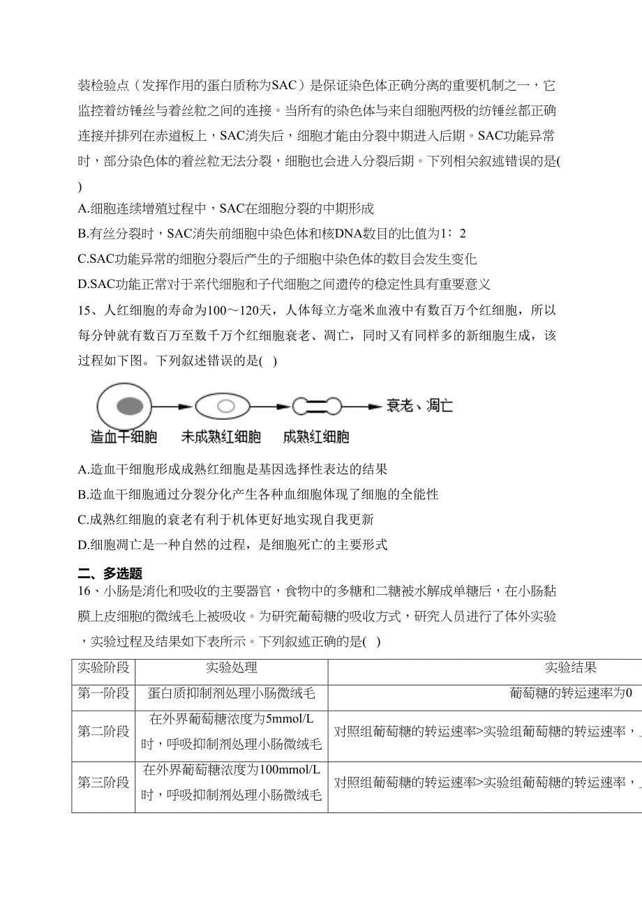 山东省泰安实验中学2022-2023学年高一1月期末模拟生物试题(含答案)_第5页