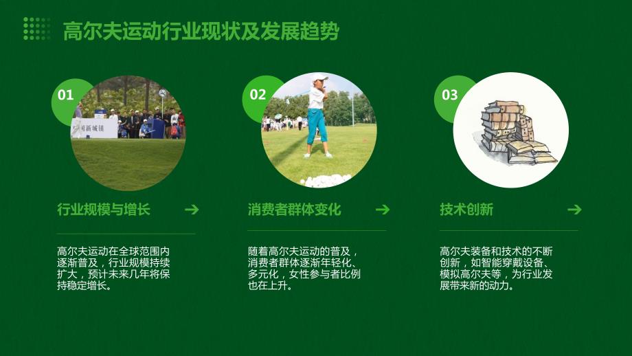 高尔夫运动行业招商策划_第4页