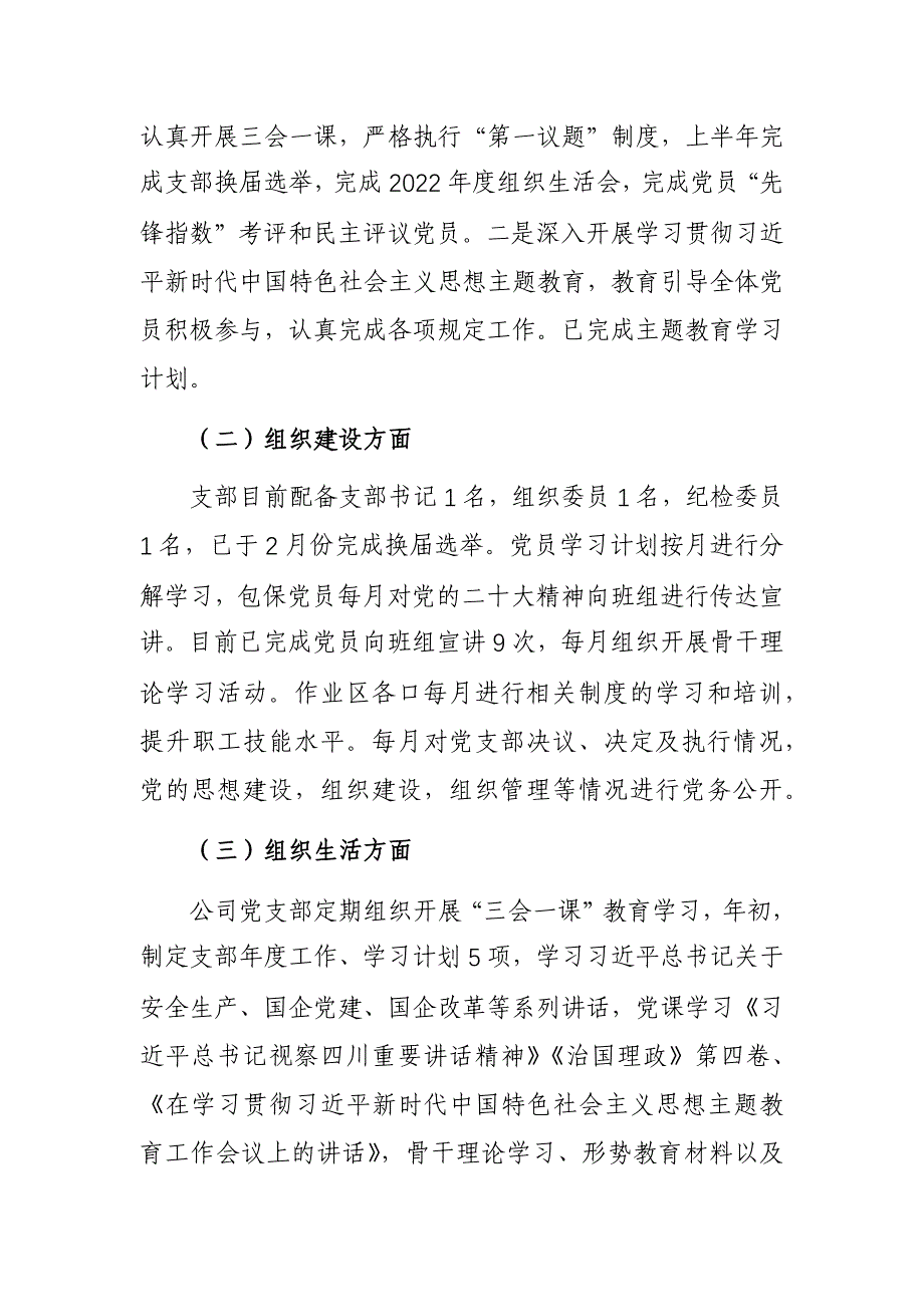 2023年度公司党支部“堡垒指数”考评暨党支部标准化建设工作验收考评自查报告参考范文_第4页