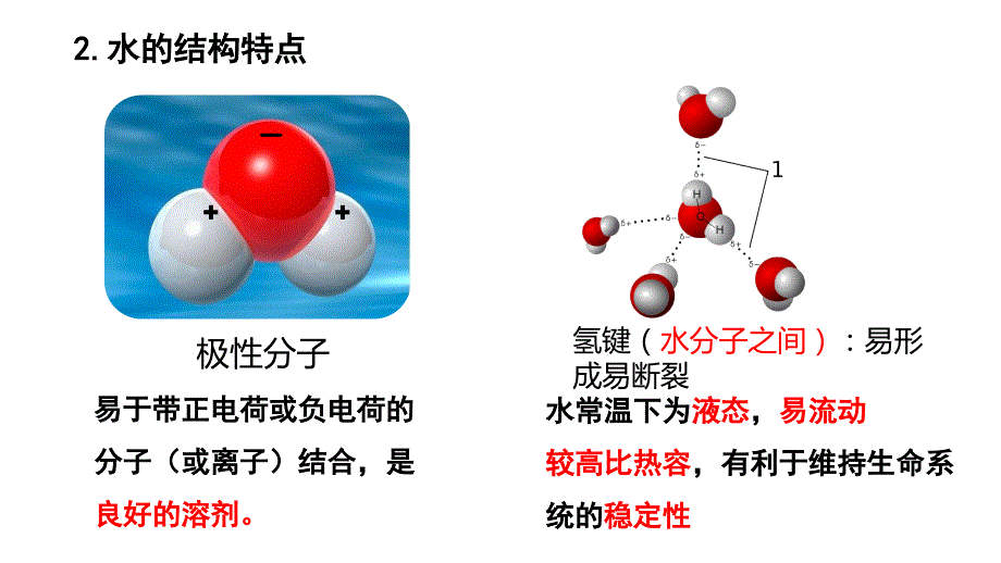 +2.2+细胞中的无机物+课件+2023—2024学年高一上学期生物人教版必修1_第3页